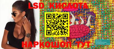 PSILOCYBIN Волгодонск