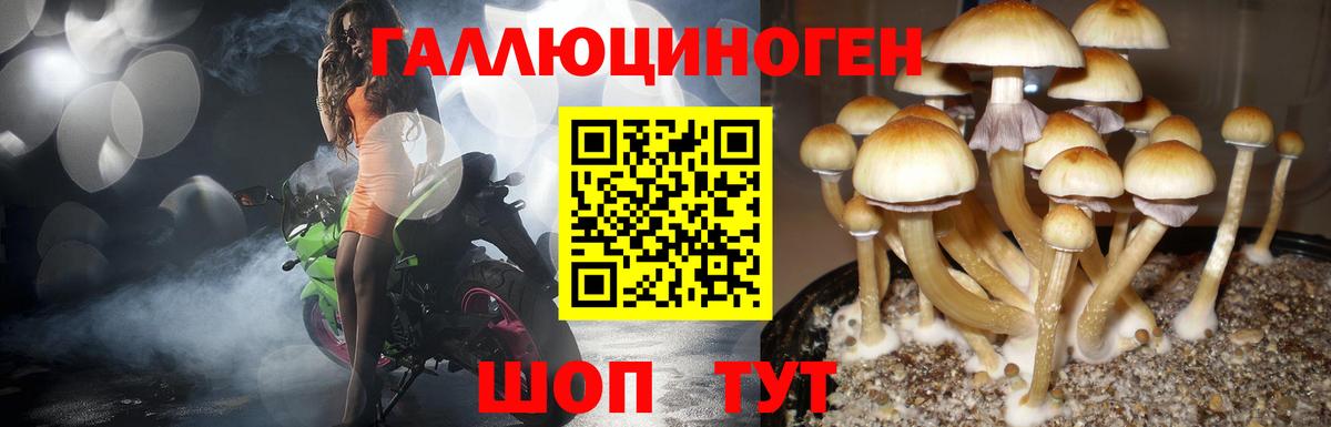 Псилоцибиновые грибы мухоморы  Вход с VPN  Моздок  где купить наркотик  Галлюциногенные грибы Magic Shrooms 
